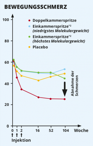 renehavis-vorlage-grafik-bewegungsschmerz